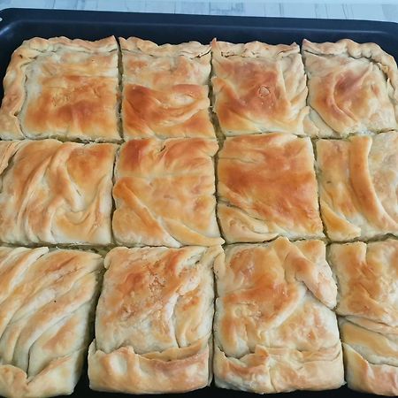 Guesthouse Zimovski Peštani Εξωτερικό φωτογραφία