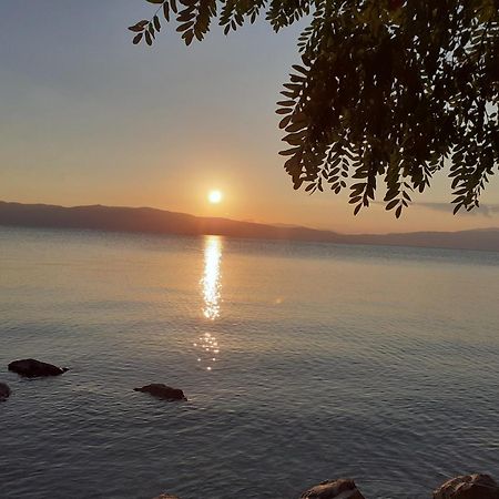 Guesthouse Zimovski Peštani Εξωτερικό φωτογραφία