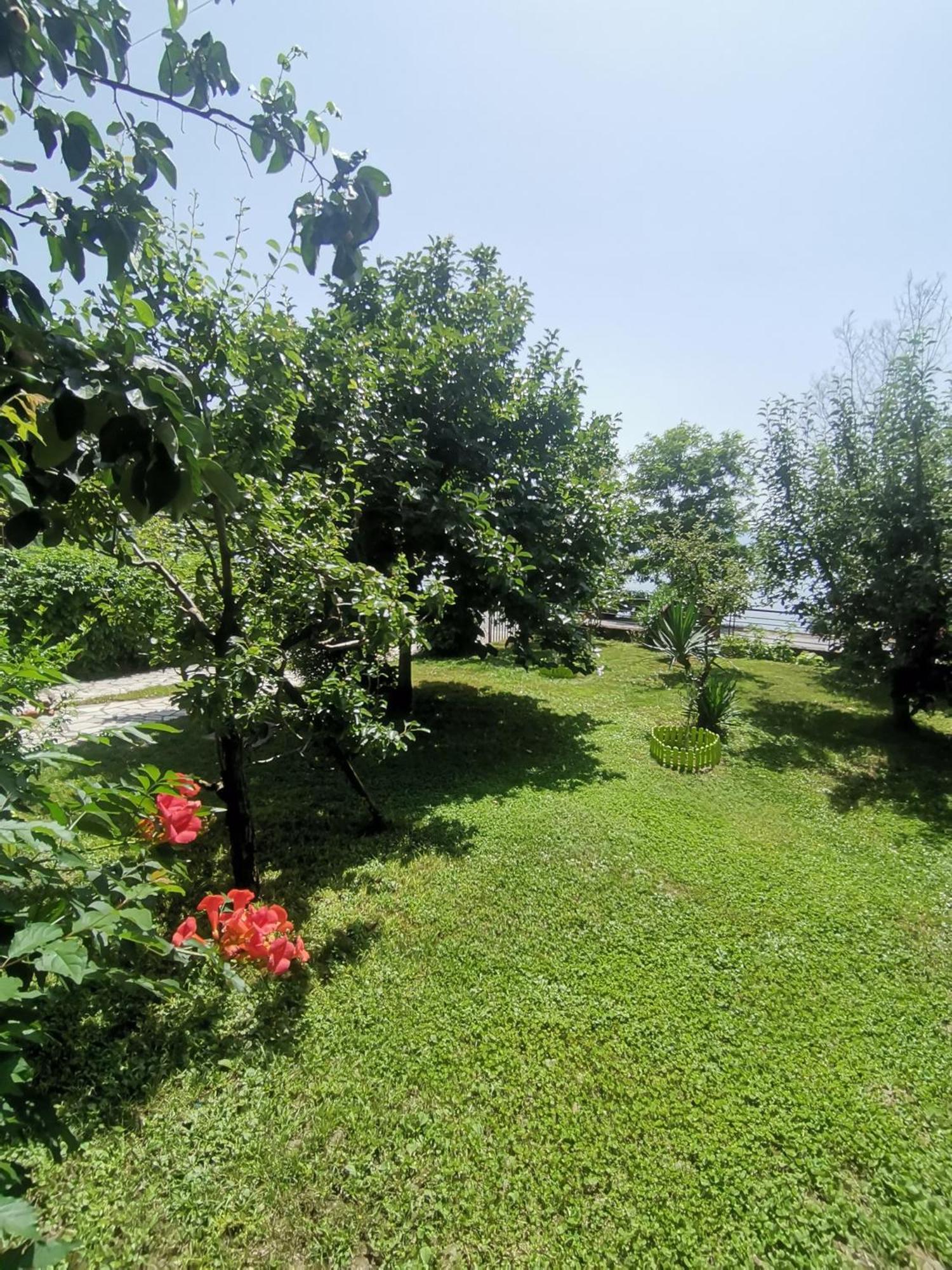 Guesthouse Zimovski Peštani Εξωτερικό φωτογραφία