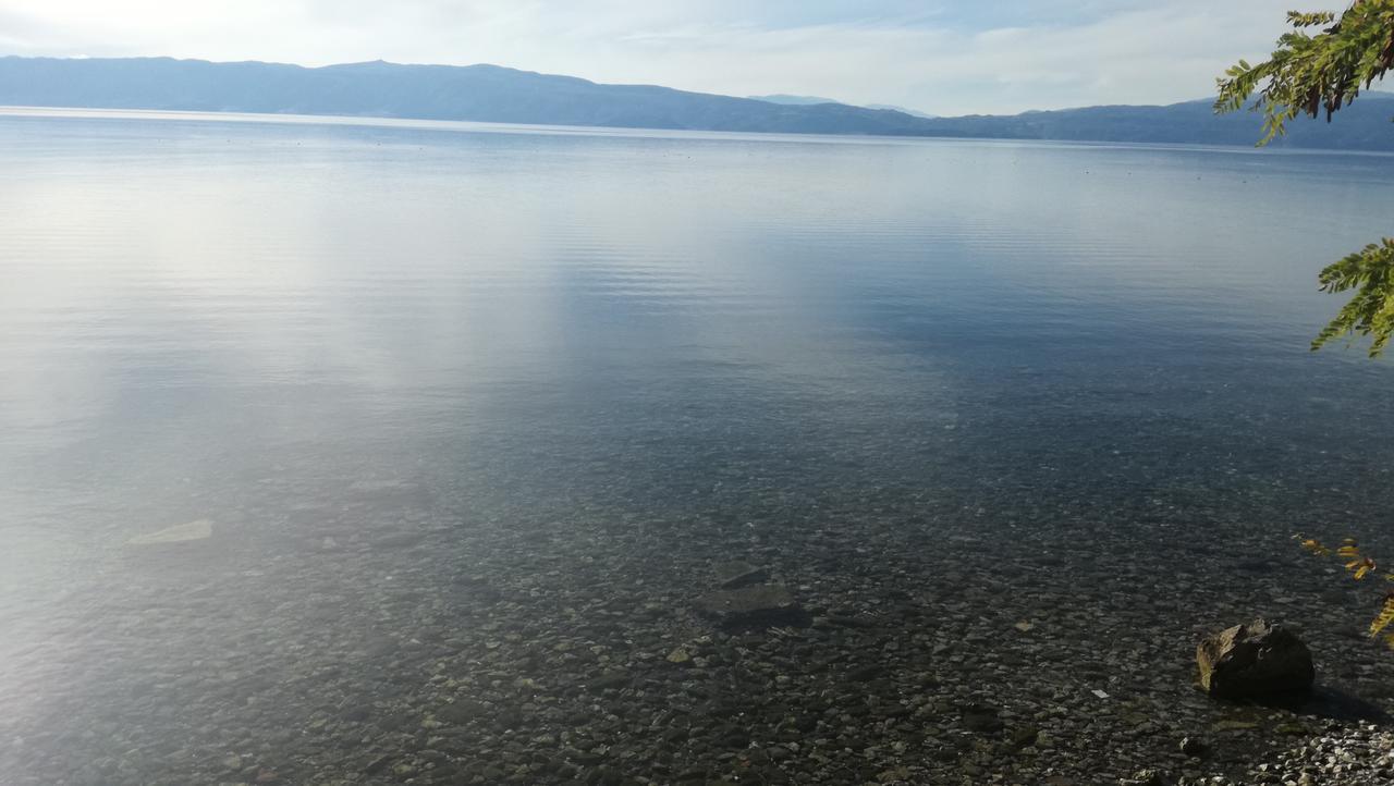 Guesthouse Zimovski Peštani Εξωτερικό φωτογραφία