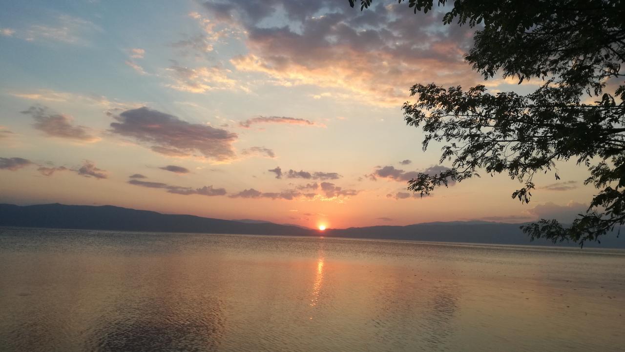 Guesthouse Zimovski Peštani Εξωτερικό φωτογραφία