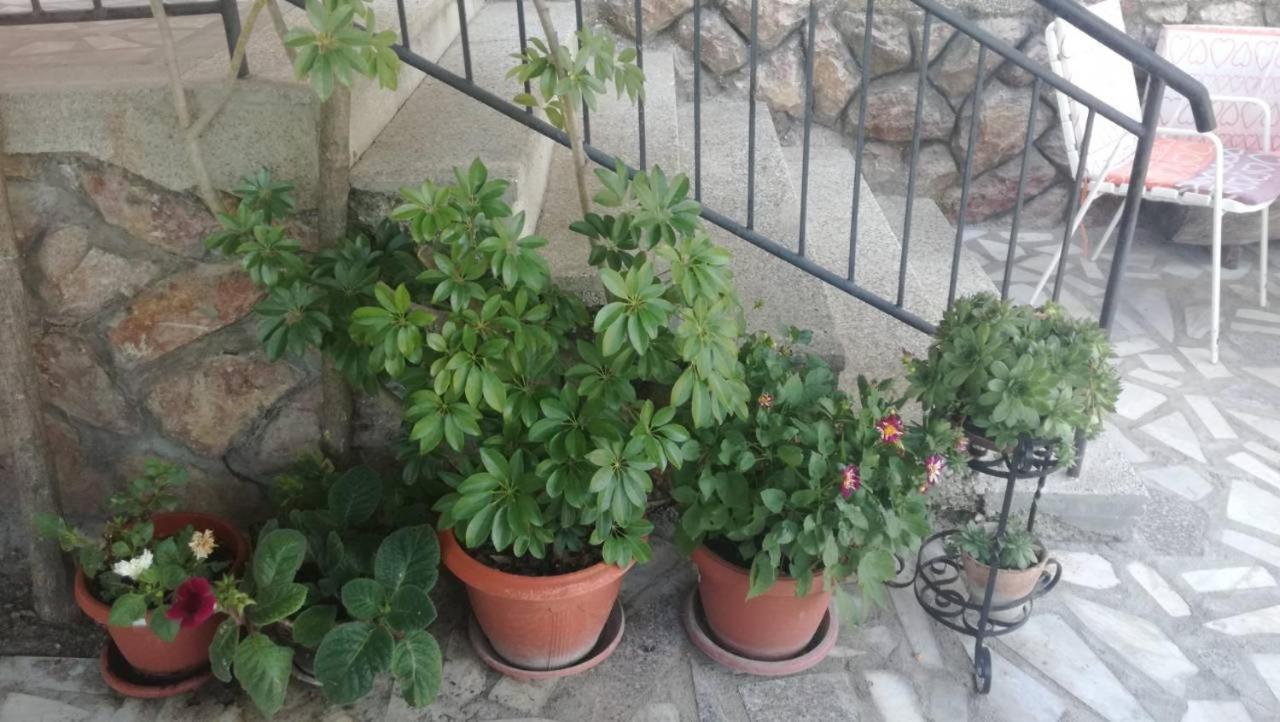 Guesthouse Zimovski Peštani Εξωτερικό φωτογραφία