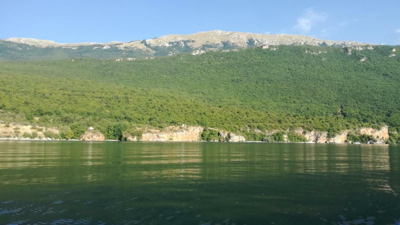 Guesthouse Zimovski Peštani Εξωτερικό φωτογραφία